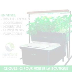 Kit aquaponique FishPlant
